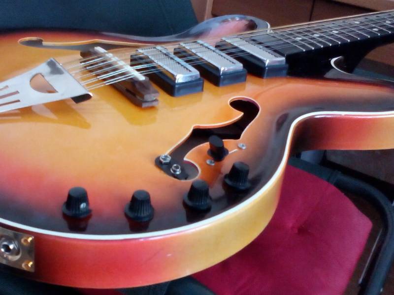 12-колковая электрогитара Мария с 6 струнами