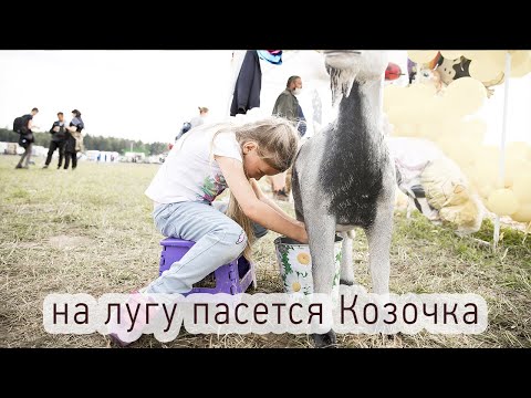Пивная коза