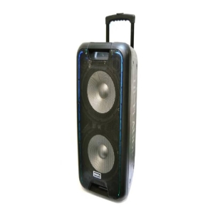 Активная колонка с радиомикрофоном