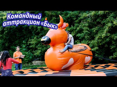 Родео Командный бык