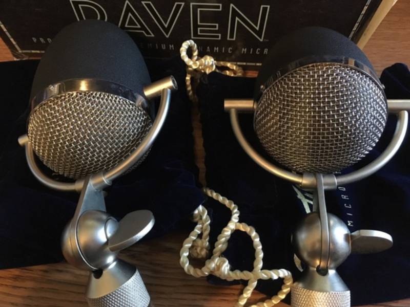 Electro-Voice Blue Raven на вертикальной стойке