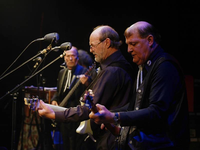 Electro-Voice Blue Raven на вертикальной стойке