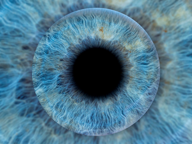 Фотозона «Радужка глаза» — вид 12