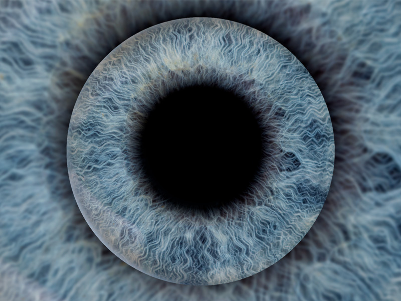 Фотозона «Радужка глаза» — вид 11