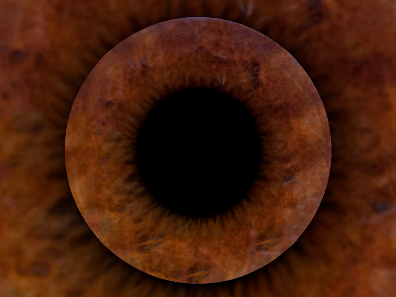 Фотозона «Радужка глаза» — вид 10