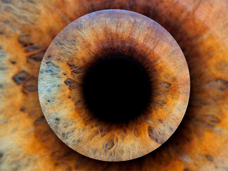 Фотозона «Радужка глаза»