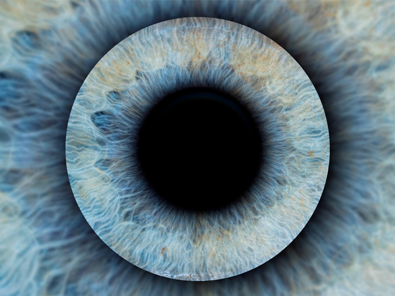 Фотозона «Радужка глаза» — вид 8