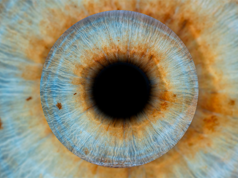 Фотозона «Радужка глаза» — вид 7