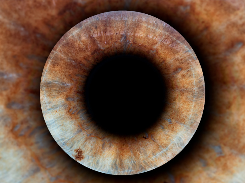 Фотозона «Радужка глаза» — вид 5