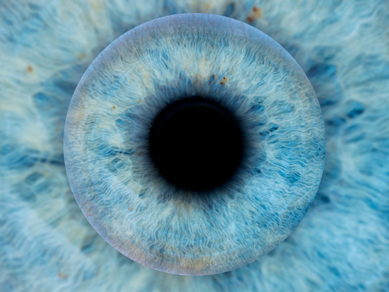 Фотозона «Радужка глаза» — вид 4