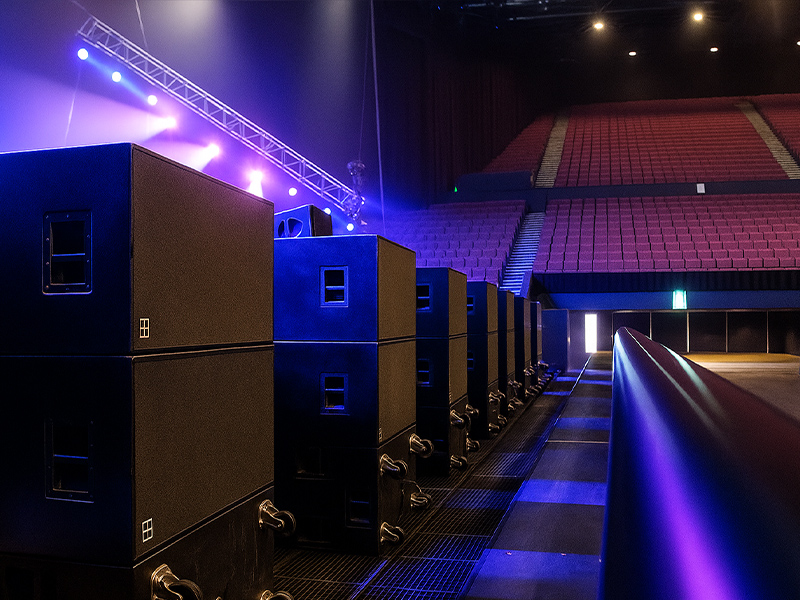 Инфра-низ B-2 D&B audiotechnik