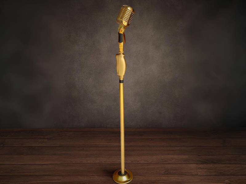 Microphone-Swinging караоке-микрофон на стойке-пружине Elvis