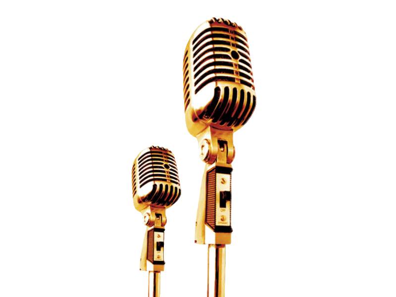 Microphone-Swinging караоке-микрофон на стойке-пружине Elvis