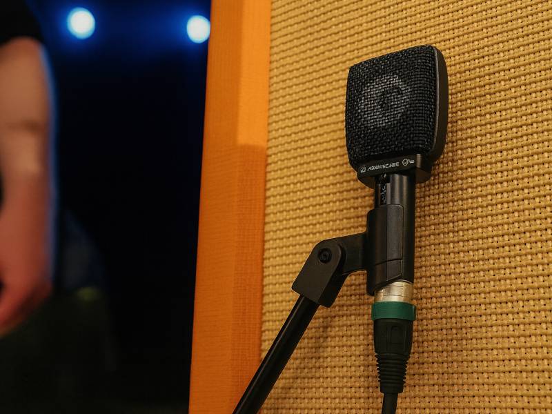 Микрофон Sennheiser E906 для подзвучки баса
