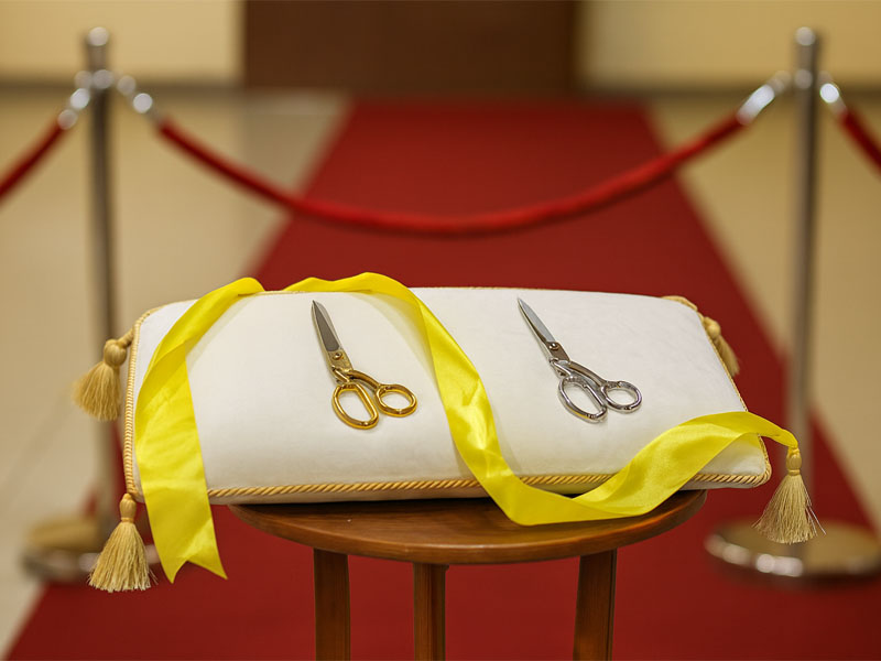 Ножницы презентационные