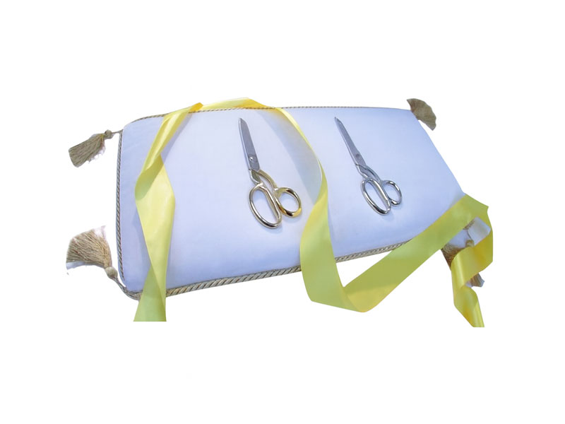 Ножницы презентационные