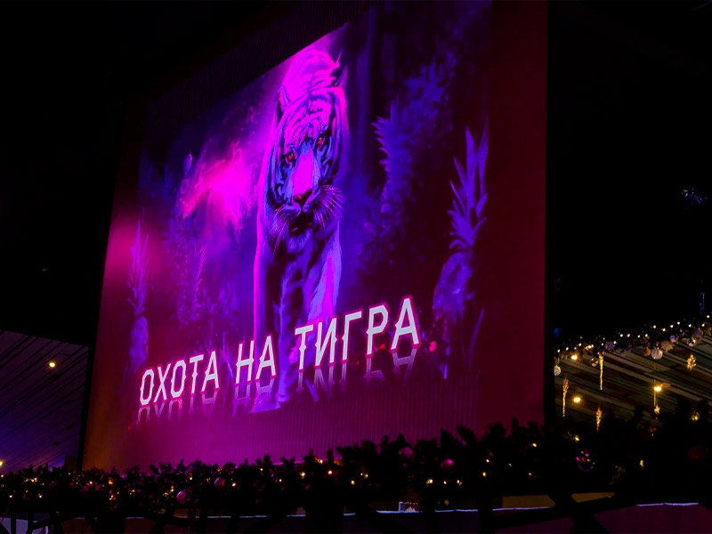 Выездной квест Охота на Тигра в Москве | Art-Active
