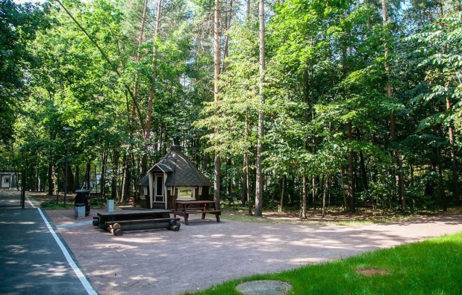 Кемпинг в парке Сокольники — фото 5