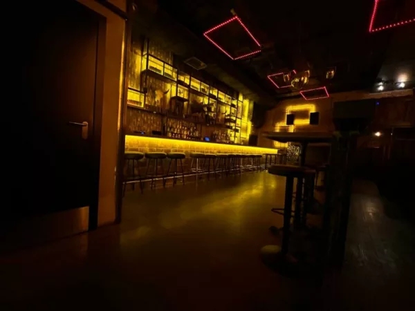 Ночной клуб и бар Crazy Loft в самом центре Москвы (м. Театральная) — фото 2