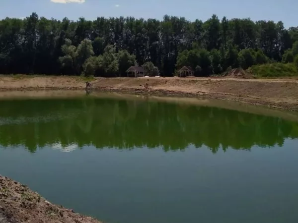 Flyingfish club. Беседки возле озера — фото 4
