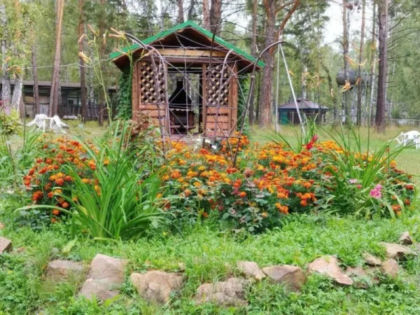 Яхт Клуб Пеликан, беседки на 12 человек — фото 4