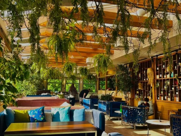 Уютный кальян-бар Blush Lounge с авторской кухней и круглогодичной верандой — фото 1