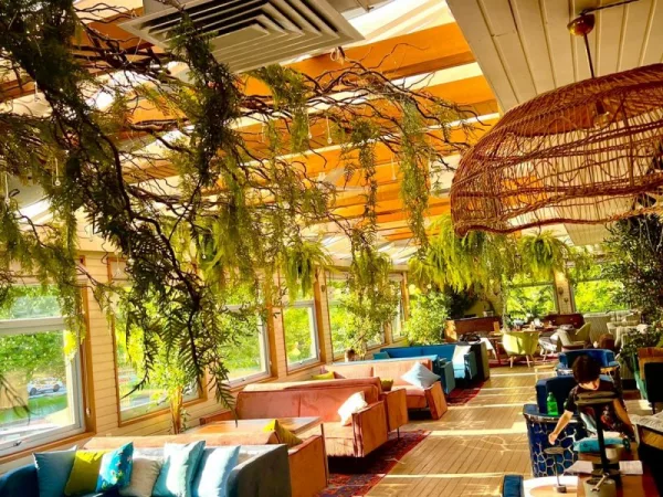 Уютный кальян-бар Blush Lounge с авторской кухней и круглогодичной верандой — фото 3