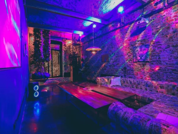 Budda Loft - небольшой классический лофт с верандой на Бауманской — фото 2
