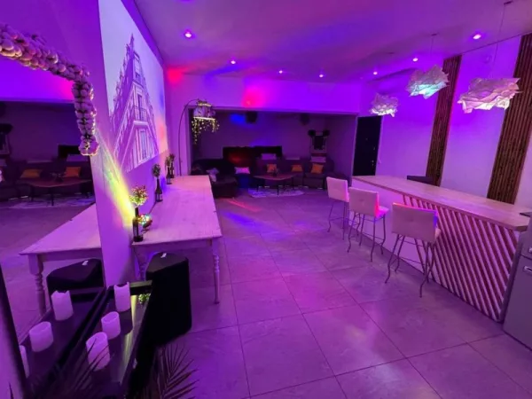Лофт Флау с огромным диваном и барной стойкой — фото 2