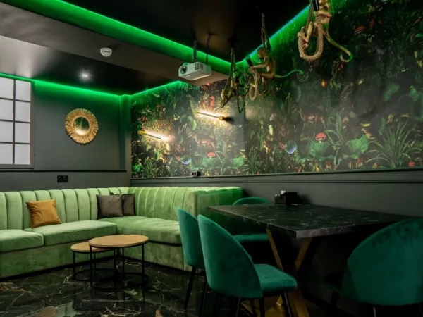 N-joy community, Зал третий - уютный караоке-лофт в стиле джунглей — фото 3