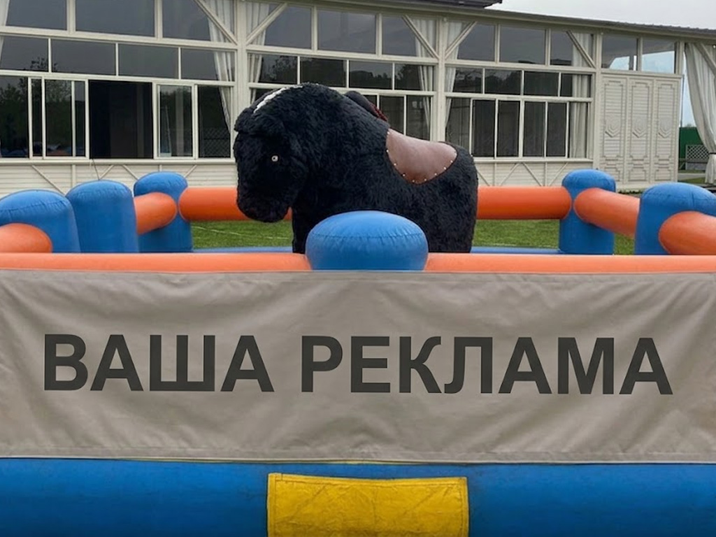 Родео Конь — вид 4