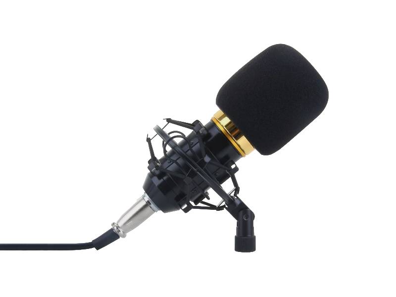 Студийный микрофон золотой ICM TL-04