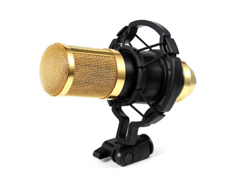 Студийный микрофон золотой ICM TL-04