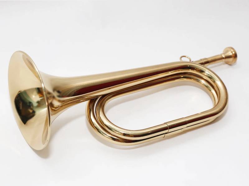 Золотистый горн