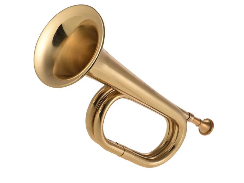 Золотистый горн